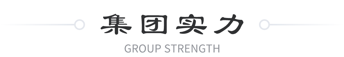 集團實力